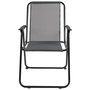 Home Deco Factory Silla Plegable Gris Acero y Poliéster Exterior 84 cm