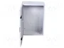 ELEKTRO-PLAST NASIELSK INDUSTRIAL SR Carcasa de pared Gris IP65 IK08