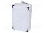 ELEKTRO-PLAST NASIELSK INDUSTRIAL SR Carcasa de pared Gris IP65 IK08