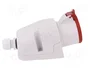 PAWBOL Conector de alimentación AC trifásico hembra 16A 400V 5 pines