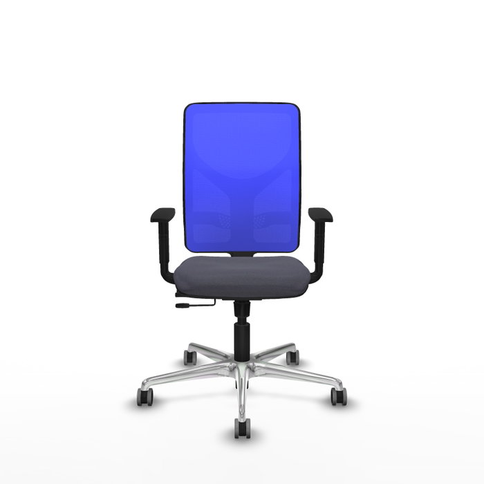 PIQUERAS Y CRESPO Silla de oficina Motilla con mecanismo Sincro/Traslack, Gris oscuro y Azul