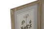 DKD Home Decor Cuadro Shabby Natural Blanco 2 x 40 x 30 cm (6 Unidades)
