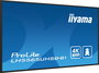 Iiyama LH5565UHSB-B1 - Monitor Digital Signage 55" 4K UHD IPS, 800 cd/m², 24/7, Android 11, 2xHDMI, DP, USB, Wi-Fi, LAN, VESA 400x400