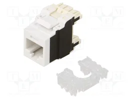 PANDUIT Conector RJ45 Hembra Cat 6a Blanco