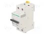 SCHNEIDER ELECTRIC Interruptor magnetotérmico iC60L ACTI9 2 polos 10A