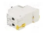 SCHNEIDER ELECTRIC Interruptor magnetotérmico iC60L ACTI9 2 polos 10A