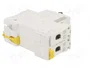 SCHNEIDER ELECTRIC Interruptor magnetotérmico iC60L ACTI9 2 polos 10A