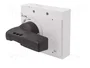 EATON ELECTRIC Volante NZM