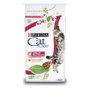 Purina Cat Chow Urinary Tract Health 15kg para gatos adultos