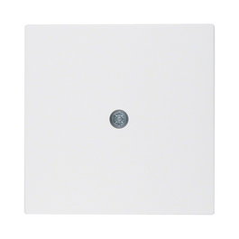 Berker 1019 19 09 Zentralstück Auslaß PWS S.1/B.1/B.7 VDo-Dose Blanco