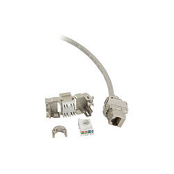 Synergy21 Módulo de toma RJ45 CAT6A de 500MHz, gran tamaño, Synergy 21
