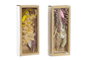 DKD Home Decor Ramo de Flores Secas Surtido Amarillo y Rosa