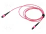 LogiLink MPO Patch Cord 12 núcleos OM4, MPO/PC F/F, Tipo B, 2 m