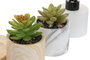 DKD Home Decor Ambientador Mikado Cerámica Surtido de 2 Unidades