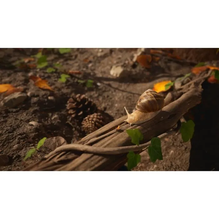 Microids The Ants Empire Of The Ants - Juego de PS5 - Edición Limitada - 3701529506819 Microids The Ants Empire Of The Ants - Juego de PS5 - Edición Limitada - 3701529506819