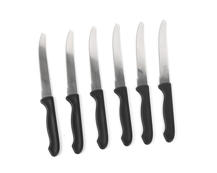 Cuyfor Set de 6 Cuchillos de Sierra para Cocina con Longitud de Hoja de 12 cm, Incluye Estuche (24 Unidades)