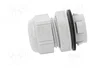 LAPP SKINTOP® CLICK-R Sello aislante gris claro