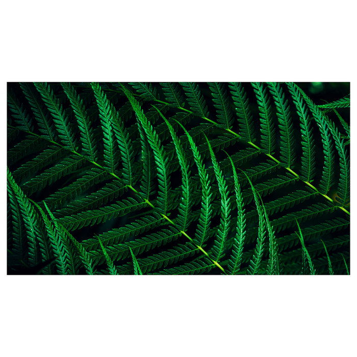 Philips 24B2G5301/00 Monitor de 23.8" Full HD IPS 1080p con USB-C 100W, Altavoces, KVM y Soporte Ergonómico Giratorio y Ajustable en Altura - Negro Philips 24B2G5301/00 Monitor de 23.8" Full HD IPS 1080p con USB-C 100W, Altavoces, KVM y Soporte Ergonómico Giratorio y Ajustable en Altura - Negro