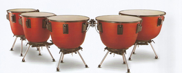 Timbal Borg de 20" de Fibra de Vidrio