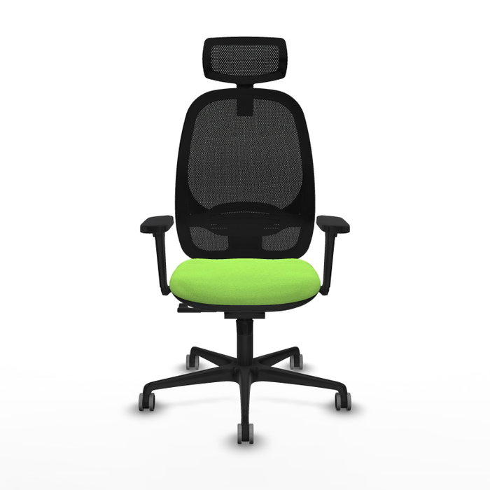 PIQUERAS Y CRESPO Silla de oficina Cilanco con mecanismo Sincro, Pistacho y Negro PIQUERAS Y CRESPO Silla de oficina Cilanco con mecanismo Sincro, Pistacho y Negro