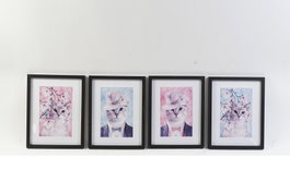 DKD Home Decor Cuadro Gatos Enmarcado Surtido de 4 unidades