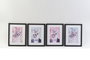 DKD Home Decor Cuadro Gatos Enmarcado Surtido de 4 unidades