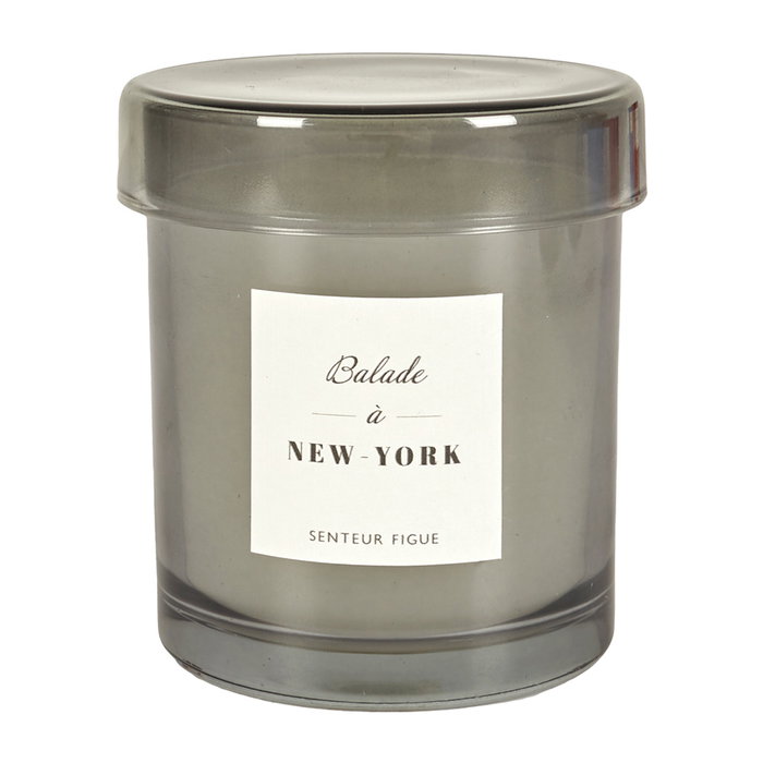 Home Deco Factory Vela Perfumada en Vaso con Tapa - 220g, 26h - Aromas Almizcle, Ámbar o Higo (Azul, Marrón, Gris), 9 cm altura