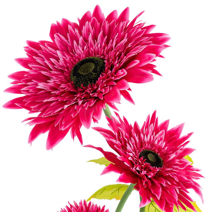 Flor Gerbera Fucsia Artificial 25 X 25 X 100 cm (Set de 2)