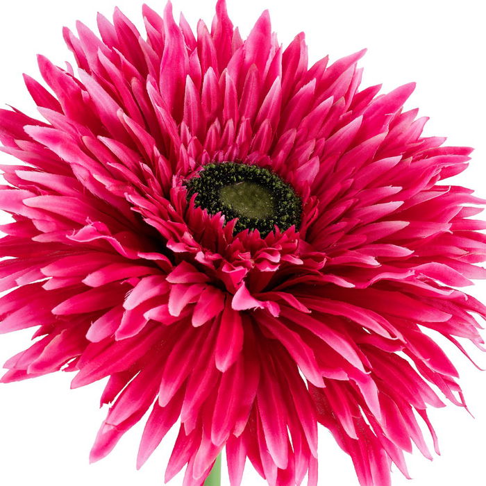 Flor Gerbera Fucsia Artificial 25 X 25 X 100 cm (Set de 2)