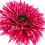 Flor Gerbera Fucsia Artificial 25 X 25 X 100 cm (Set de 2)
