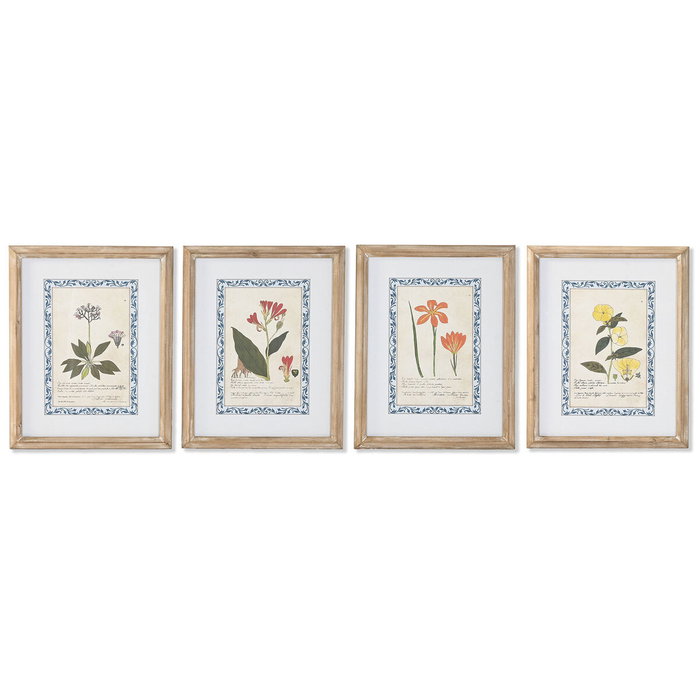 DKD Home Decor Set de 4 Cuadros Botánicos de Cristal y MDF (40x2,5x50 cm)