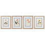 DKD Home Decor Set de 4 Cuadros Botánicos de Cristal y MDF (40x2,5x50 cm)