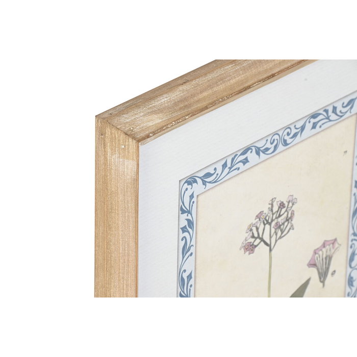 DKD Home Decor Set de 4 Cuadros Botánicos de Cristal y MDF (40x2,5x50 cm)