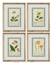 DKD Home Decor Set de 4 Cuadros Botánicos de Cristal y MDF (40x2,5x50 cm)
