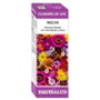 EQUISALUD Flower of Life Rescate 15 ml