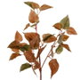 Rama Marrón Pvc Jardín 75 cm (Set de 12)