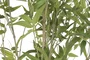 DKD Home Decor Árbol de Bambú Verde de Poliéster y Cemento 50x50x156 cm