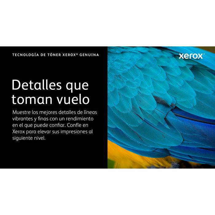 Tóner Original Xerox 006R04624 Negro