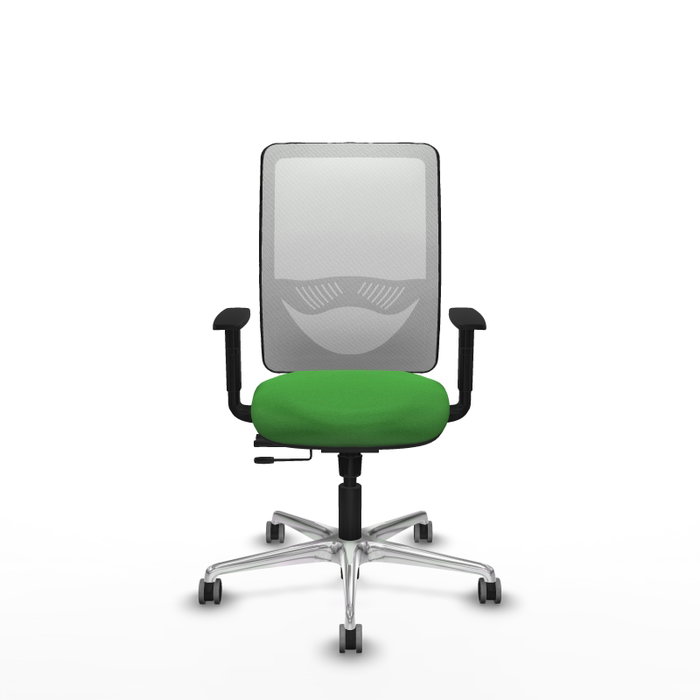 PIQUERAS Y CRESPO Silla de oficina Zulema con mecanismo Sincro/Traslack, Verde y Blanco PIQUERAS Y CRESPO Silla de oficina Zulema con mecanismo Sincro/Traslack, Verde y Blanco