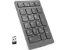 Lenovo 4Y41C33791 Teclado Numérico Inalámbrico RF/2.4 GHz Universal, 21 Teclas, Táctil, Batería, Gris