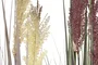 DKD Home Decor Planta 35 x 120 x 35 cm (2 Unidades) Marron Claro Lila PVC