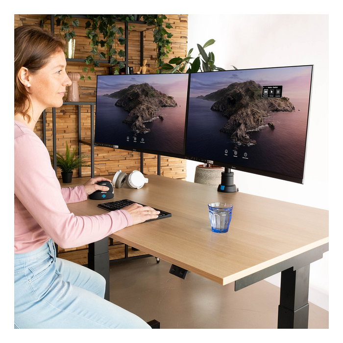 R-Go Tools R-Go Caparo 4 D2 Brazo de Monitor Dual con Resorte de Gas