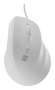 Natec Crake 2 Pro Ratón Vertical Blanco