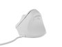 Natec Crake 2 Pro Ratón Vertical Alámbrico Óptico 12800 DPI 6 Botones Blanco