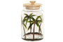 DKD Home Decor Bote de Cristal Palmeras 3,5L
