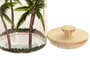 DKD Home Decor Bote de Cristal Palmeras 3,5L