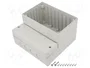 FIBOX CARDMASTER PC 17/16-C3 Carcasa de pared gris