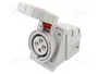SEZ DK Conector de alimentación AC trifásico hembra 32A 400V