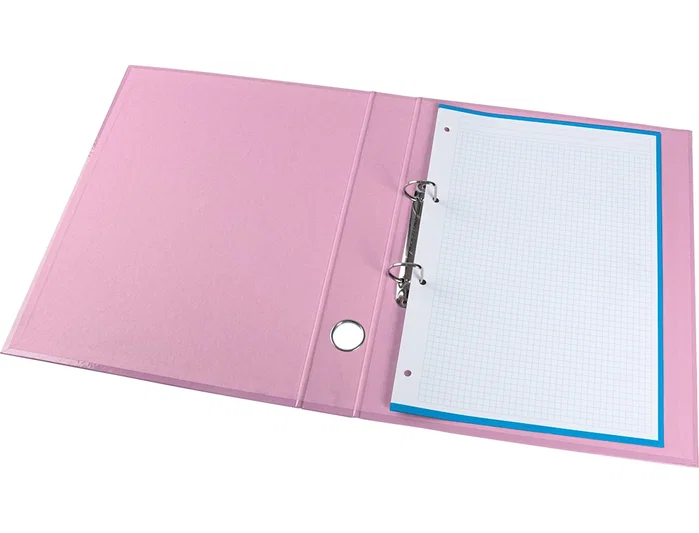 Liderpapel Carpeta de 2 anillas de 25 mm Color System Rosa A4