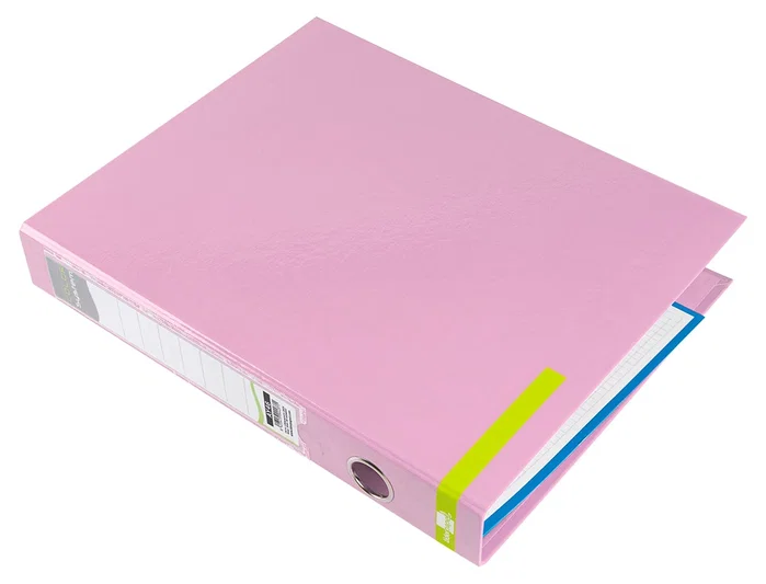 Liderpapel Carpeta de 2 anillas de 25 mm Color System Rosa A4
